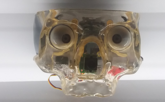 Ojos robóticos que siguen al visitante de la exposición mientras los observa