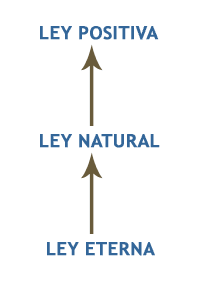 Ley natural