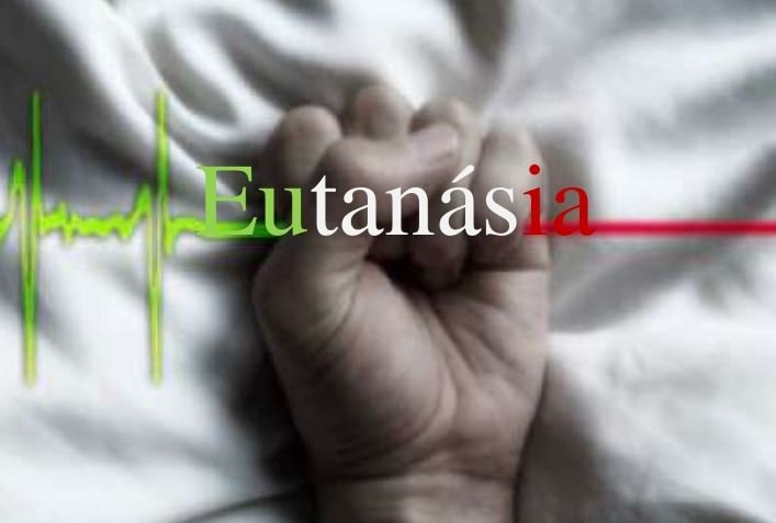 ley de eutanasia