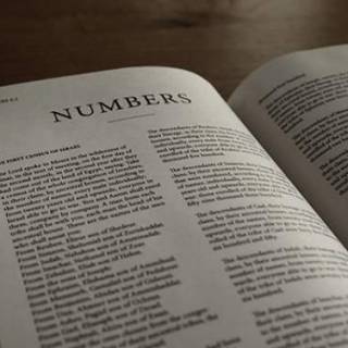 libro de números