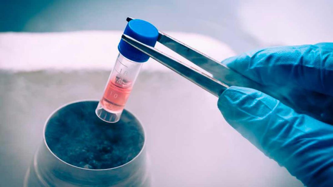fecundación in vitro Embriones congelados Debate legal