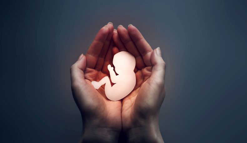 aborto menores asamblea vida