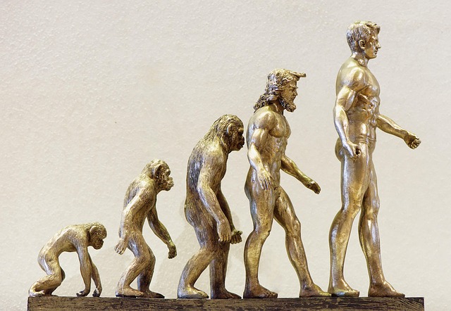 teoría de la evolución