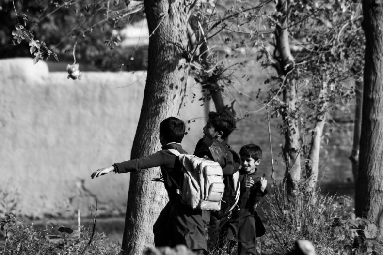 elegir colegio educación