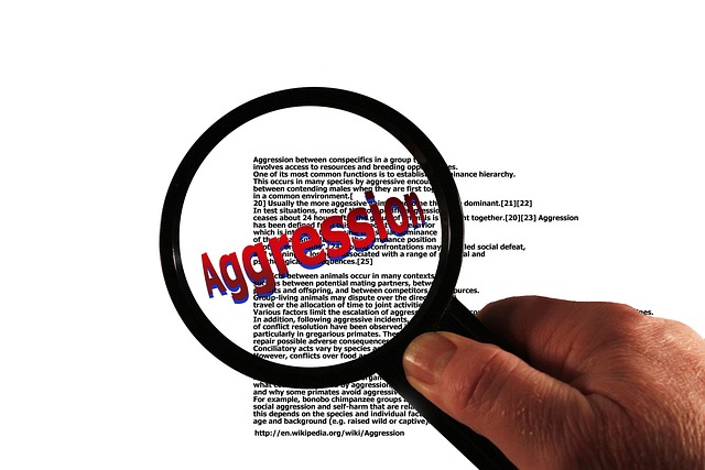 wikipedia vandalismo