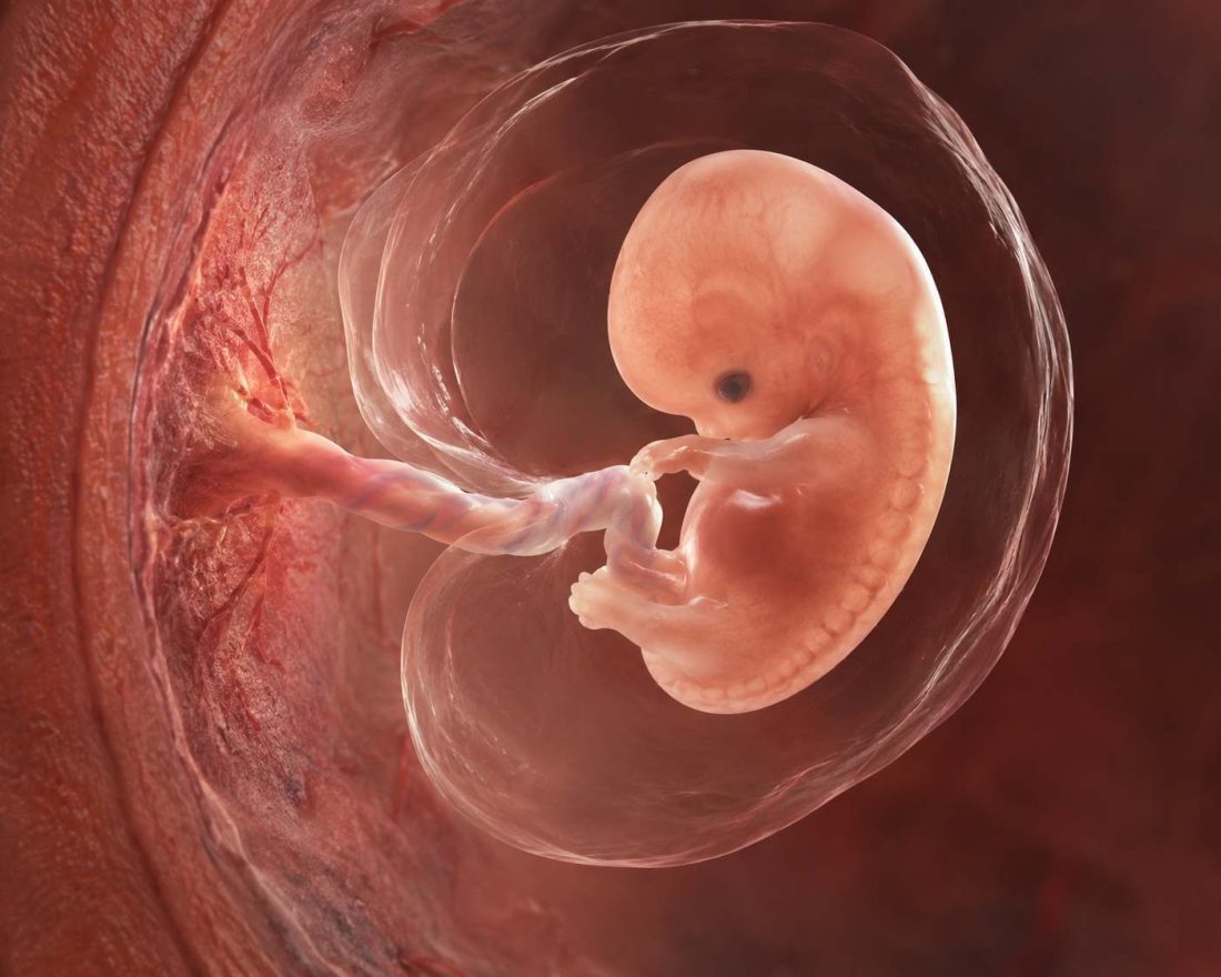 ¿Es moralmente legítimo el aborto?