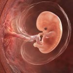 ¿Es moralmente legítimo el aborto?