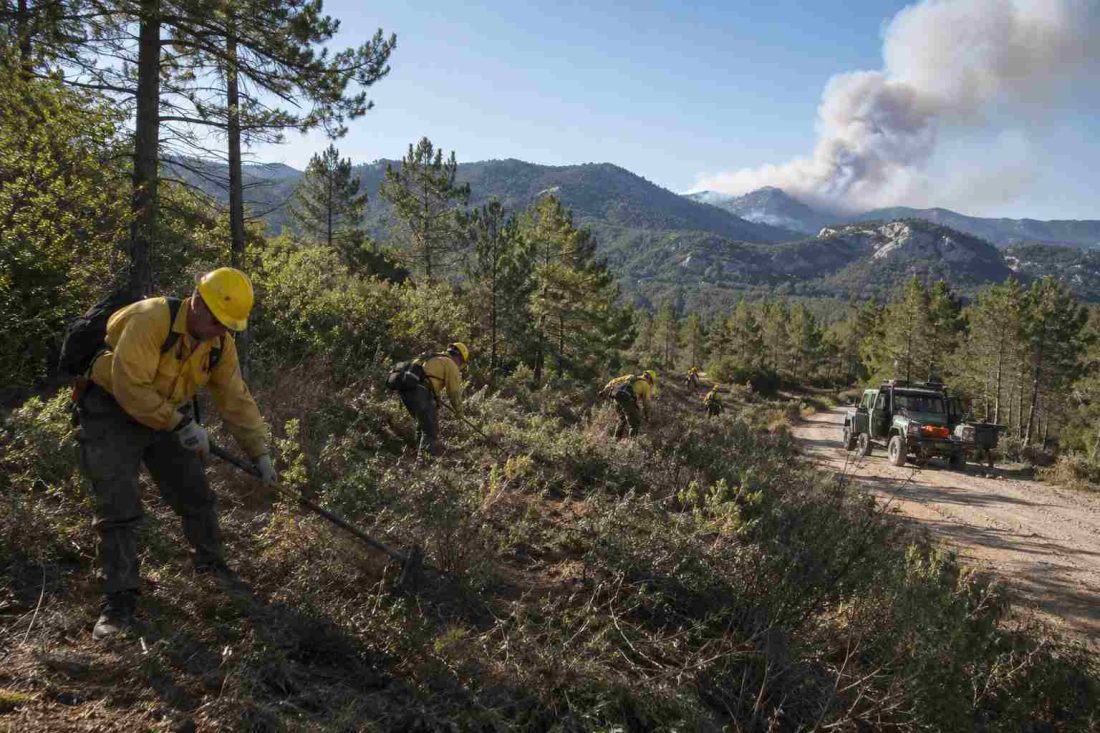 prevención de incendios forestales.