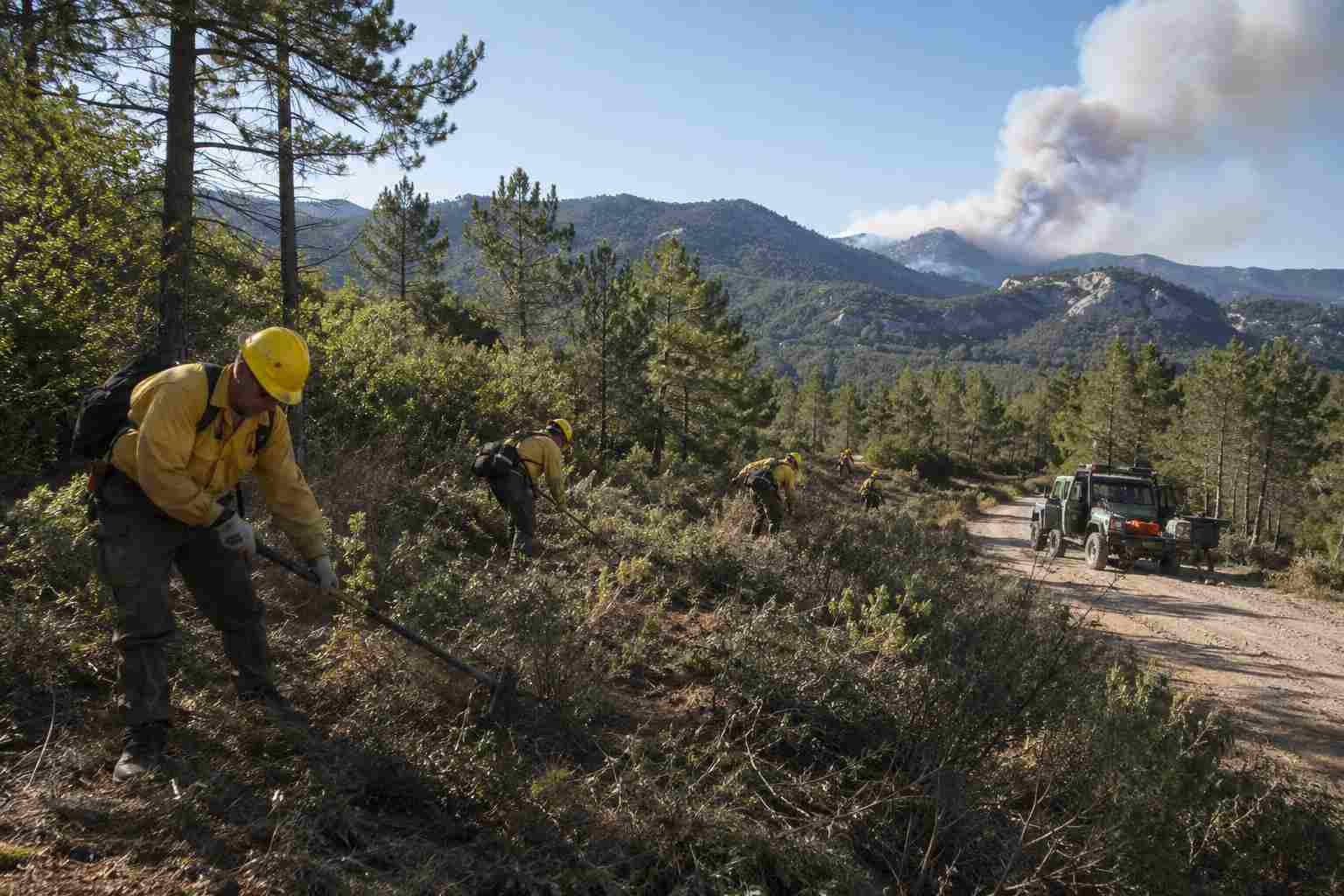 prevención de incendios forestales.